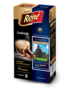 Nespresso Guatemala - Rene Cafe