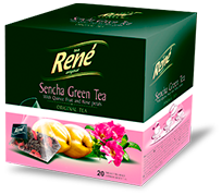 Pyramid Teas Sencha Green Tea - Rene Cafe